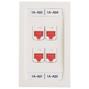 Panduit PSL-DCJB-IW-C Network Faceplate