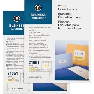 Business Source 21051CT Bright White Premium-quality Address Labels BSN21051CT