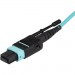 StarTech.com MPO12PL1M Fiber Optic Network Cable