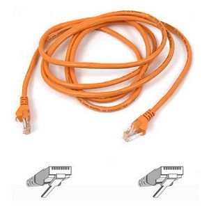 Belkin A3L781-01-ORG Network Patch Cable