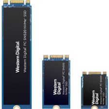 SanDisk SDAPMUW-128G-1022 Western Digital PC SN520 NVMe SSD