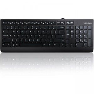 Lenovo GX30M39655 USB Keyboard - US English