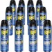 Raid 300816CT Flying Insect Spray SJN300816CT