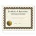 Great Papers! COS930000 Ready-to-Use Certificates, 11 x 8.5, Ivory/Brown, Appreciation, 6/Pack