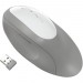 Kensington K75405WW Pro Fit Ergo Wireless Mouse-Gray