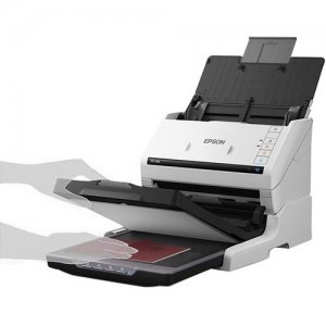 Epson B12B819011 Flatbed Scanning Dock