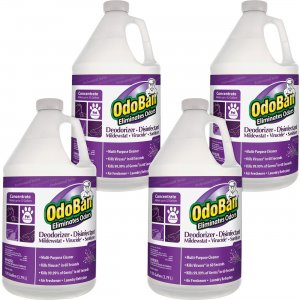 OdoBan 911162G4CT Deodorizer Disinfectant Cleaner Concentrate ODO911162G4CT