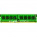 Kingston KVR16LR11D8/8EF 8GB DDR3 SDRAM Memory Module