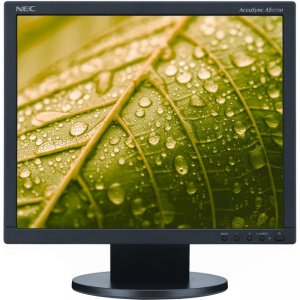 NEC Display AS173M-BK 17" Value Desktop Monitor with LED Backlighting