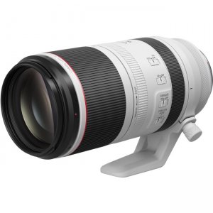 Canon 4112C002 RF100-500mm F4.5-7.1 L IS USM