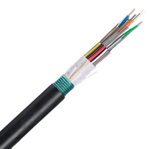 Panduit FSWN948 Fiber Optic Armored Cable