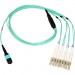 Axiom MP8LCOM3R15M-AX Fiber Optic Network Cable