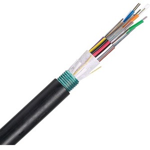 Panduit FSWN924 Fiber Optic Network Cable