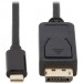 Tripp Lite U444-006-DP-BD USB-C to DisplayPort Bi-Directional Adapter Cable, M/M, 6 ft