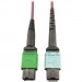 Tripp Lite N846D-03M-16CMG 400G Multimode 50/125 OM4 Fiber Optic Cable, Magenta, 3 m