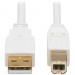 Tripp Lite U022AB-006-WH USB-A to USB-B Antibacterial Cable (M/M), USB 2.0, White, 6 ft
