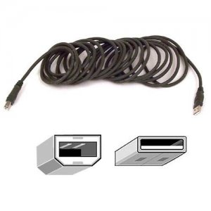 Belkin F3U133B10 USB Cable
