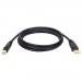 Tripp Lite U022-010-R USB 2.0 Cable